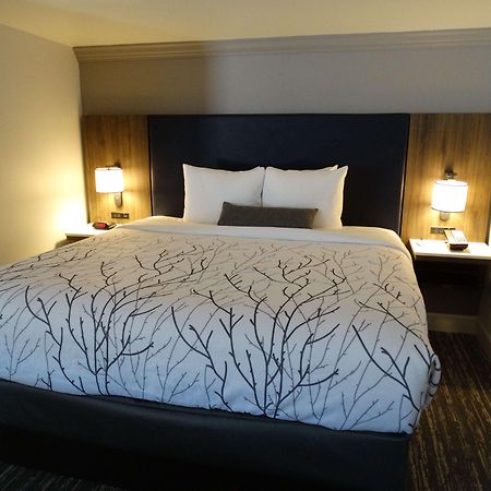 Best Western Premier Denver East Стая снимка