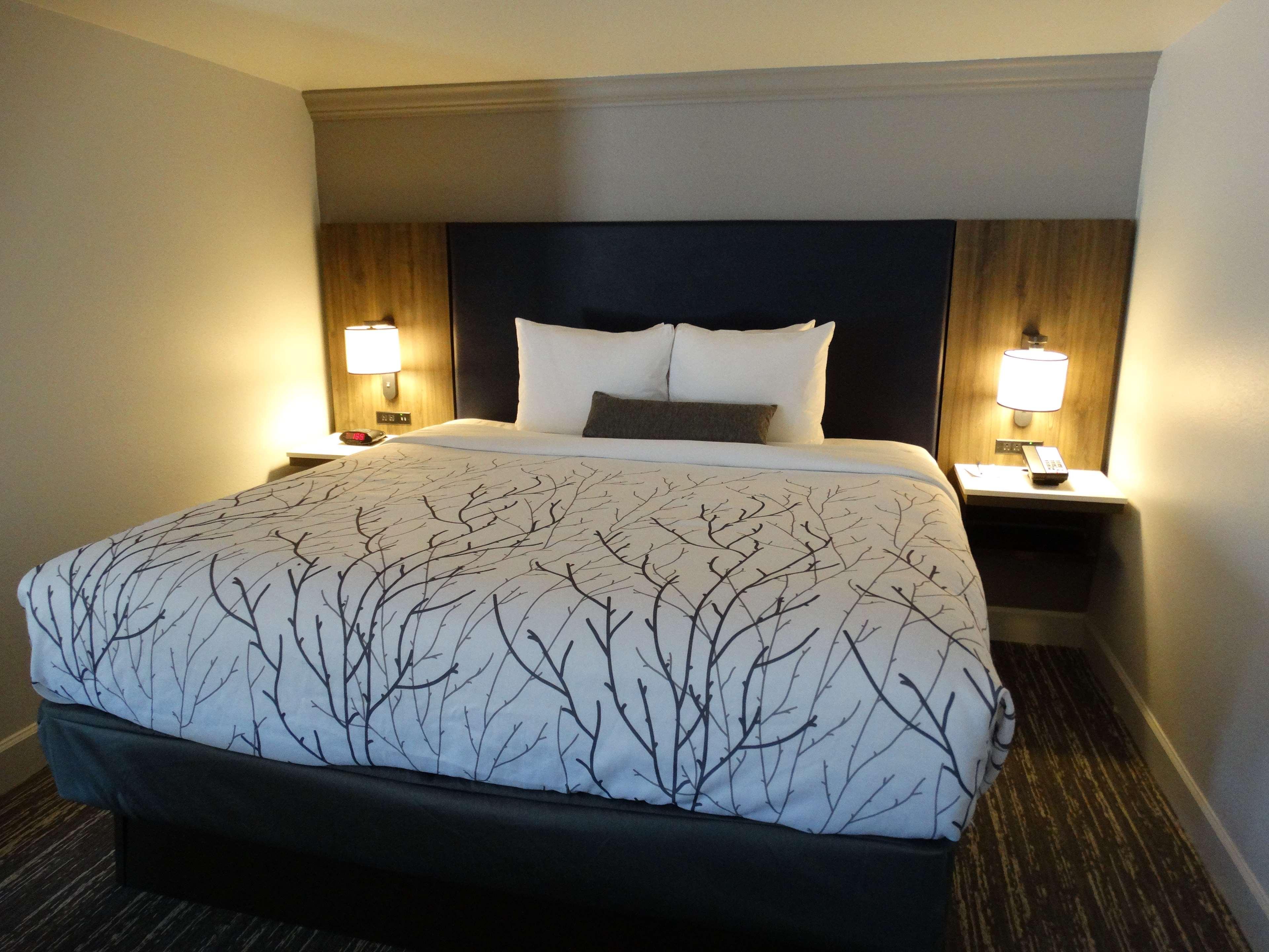 Best Western Premier Denver East Стая снимка